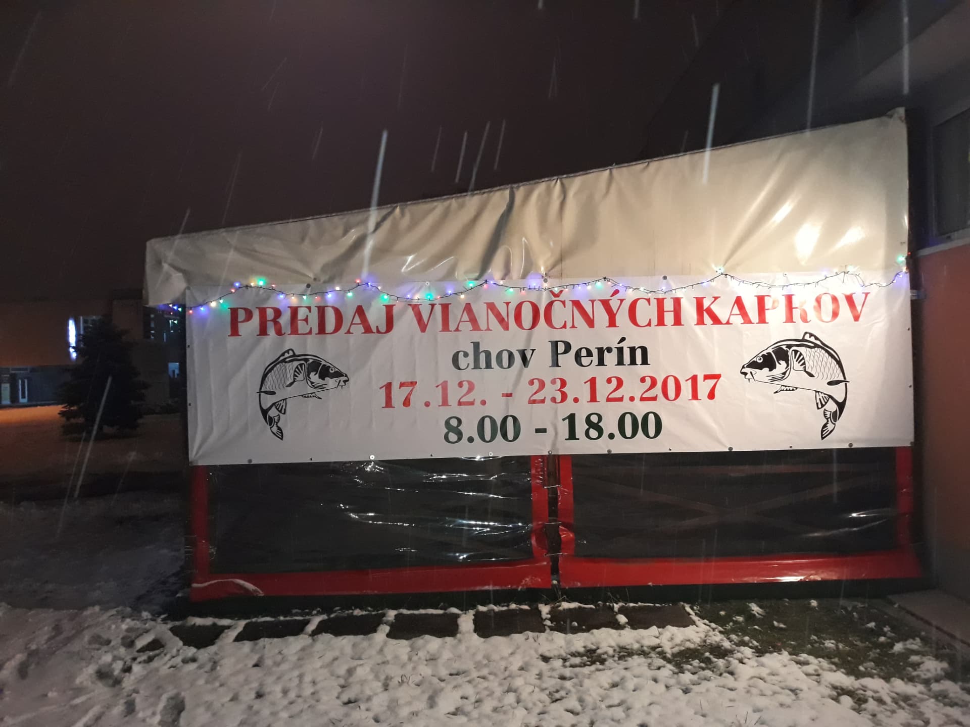 Banner Predaj vianočných kaprov pred pivárňou